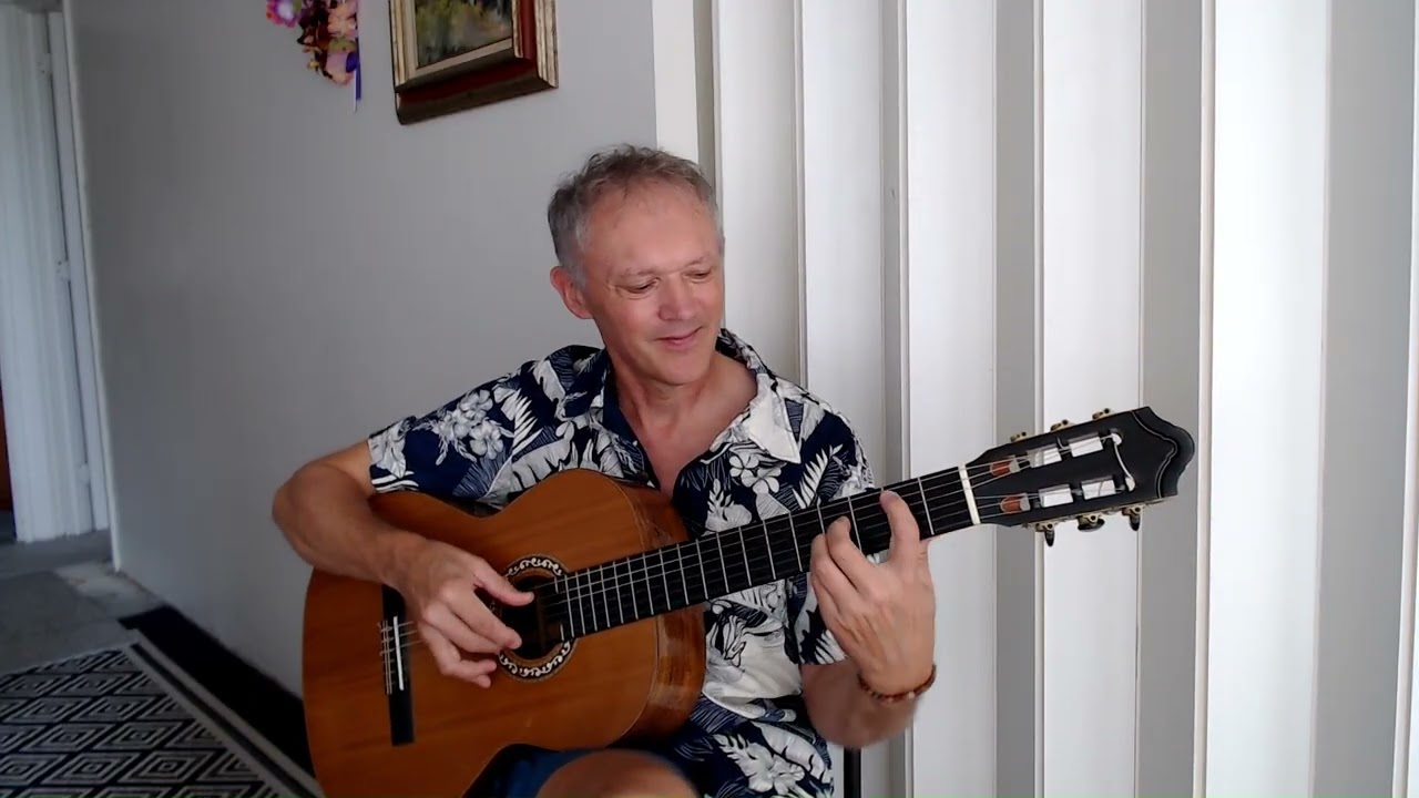 Promotional video thumbnail 4 for Honolulu Solo Guitar