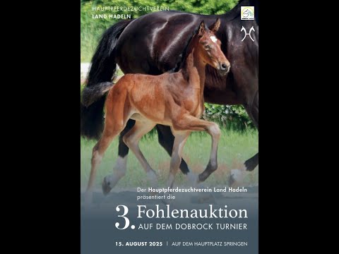 Kat. 5, Roland von Rockdale - Lissaro van de Helle