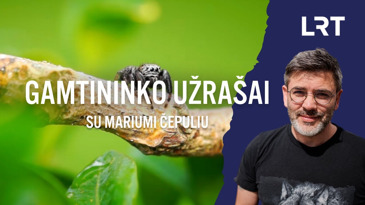 Šokliavorius vorų pasaulio „influenceriais“ vadinantis Čepulis: jie yra fantastiškai mieli