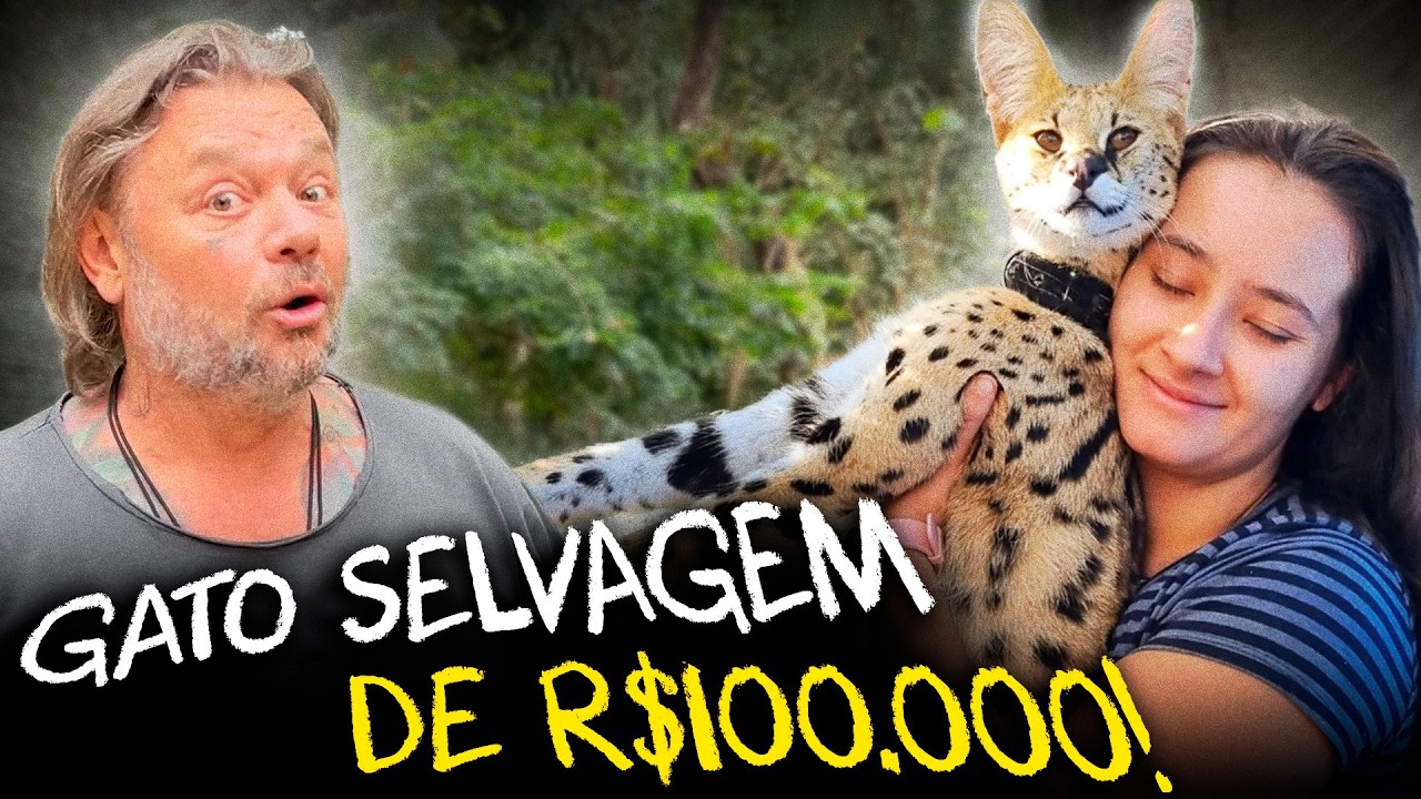 SAVANNAH: O HÍBRIDO SELVAGEM DE GATO COM SERVAL!