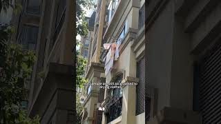 Download lagu How Chinese People Dry Clothes🌞👕No Dryer Needed! #china #dryclean #clothes #sun mp3 Download lagu How Chinese People Dry Clothes🌞👕No Dryer Needed! #china #dryclean #clothes #sun mp3