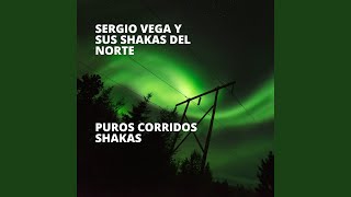 Amargura en la Sangre