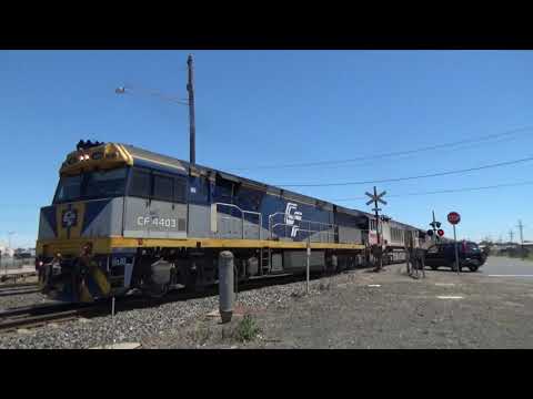 CFCLA CF4403 "Even Stevens", SCT CSR012, SCT014 5PM9 Freight At North Geelong