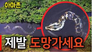 지옥의 아마존 생존기