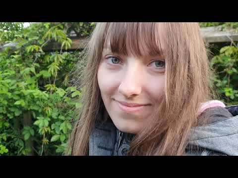 Virginia creeper - self-climbing Virginia creeper