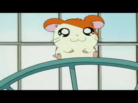 HAMTARO, Little Hamsters, Big Adventures