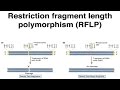 Restriction Fragment Length Polymorphisms.