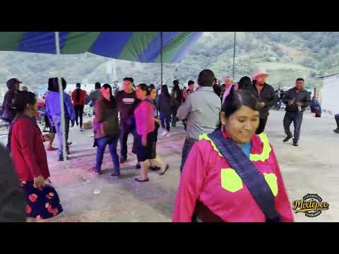 Baile 14 septiembre 2025 San Miguel Mixtepec