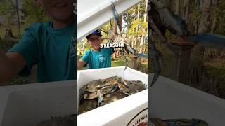 🦀 Three Reasons Why You Should Try Louisiana Blue Crabs #louisiana #crab #livecrabs #food