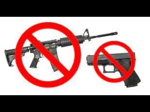 Why All Guns Should Be Banned - Great Discussion With A UK Man Who Wants Gun Control