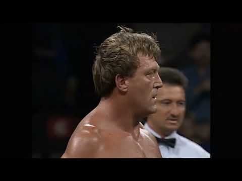 Pretty Wonderful (Paul Orndorff Paul Roma) vs. Stars and Stripes - Title Match - 10/23/1994 - WCW