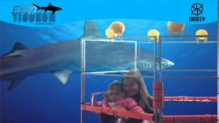 DIA 2 Expo Tiburon76