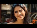 Nabha Natesh Hit Flop Movie List
