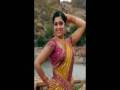 Indian Saree
