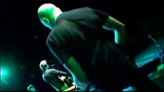 2002 - Noir Désir -   Les Sangliers Sont Laches