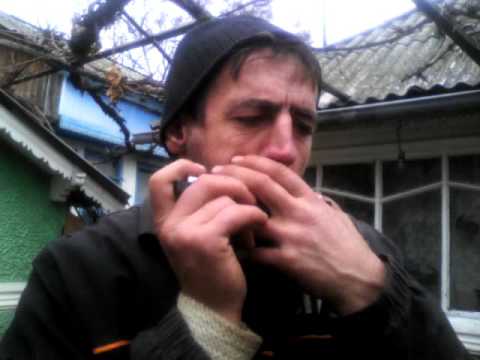 Muzicantul margineni