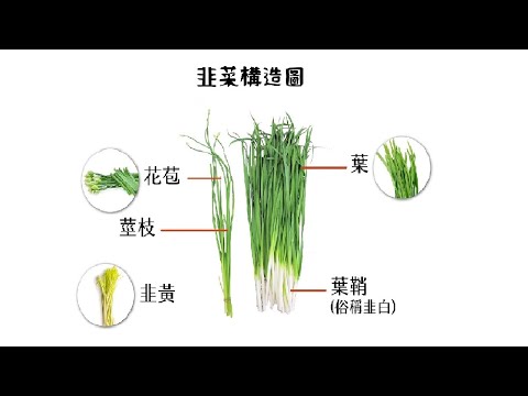 懋 意思