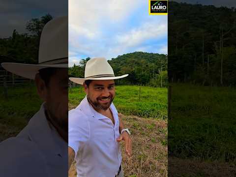 ✨️🌿SÍTIO 23 HECTARES COM ESTRUTURA COMPLETA REGIÃO POTE-MG 670.000.00 🌿