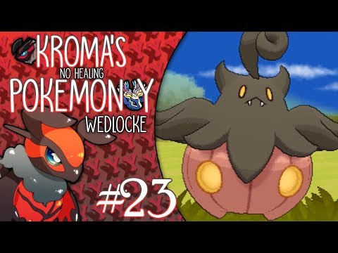 Pokémon Y "No Healing" Wedlocke, Part 23 - A Guide To Measurement!