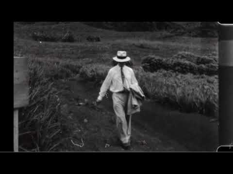 Tahitian Noni International: Origins & Destiny, German version