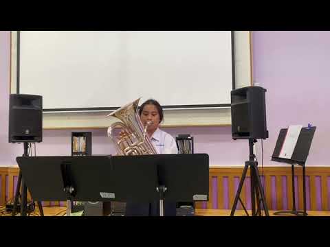 Euphonium Concerto mvt.1 - Joseph Horovitz