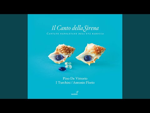 Sdegno, campion audace