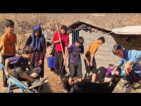 A beautiful transformation on the farm by Akram's sons