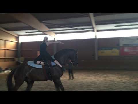 Trainingsvideo Anne Pradel, Schenkenberg 06/2015