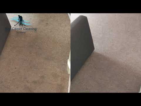 Pro Carpet Cleaning  video.