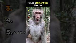 Download lagu Ranking Momen Lucu Monyet😂 #memes #top5 mp3