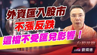 外資匯入股市不漲反跌，這檔不受匯兌影響！｜台股攻略｜劉烱德 (圖)