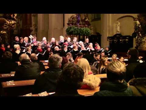 Gaudete in Domino semper - Jiří Teml