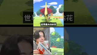 お花図鑑もありますｗｗｗ  #シャオメイ #ゲーム実況 ＃あつもり