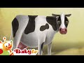 Cow ​ Animal Party Animal Sounds For Kids Cartoons BabyTV