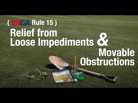 June 2020 Rule of the Month: Relief From Loose Impediments and Movable Objects