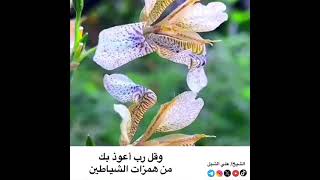 صورة أ.د. علي الشبل | وقل رب أعوذ بك من همزات الشياطين