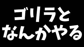 GWにゴリラと遊ぼう