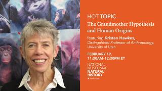 HOT (Human Origins Today) Topic: The Grandmother Hypothesis and Human ...