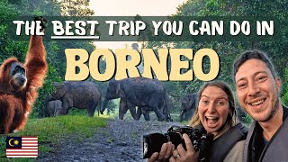 Travel vlog - 3-Day Kinabatangan River Cruise, Borneo โ Wildlife Adventure!