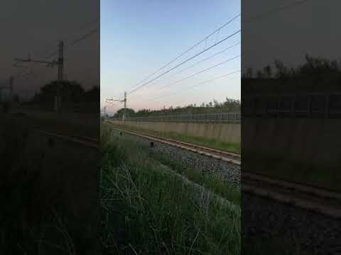 Linea Sibari-Cosenza 17 aprile 2020