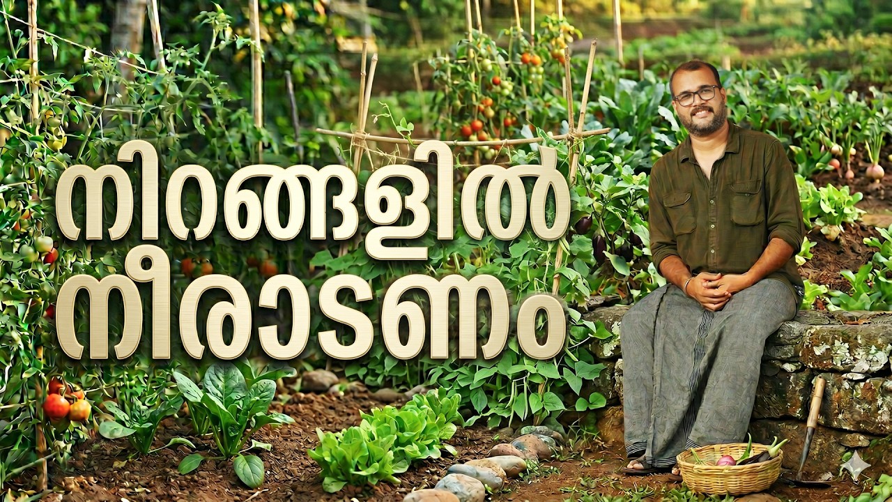 നിറങ്ങളിൽ നീരാടണം 🌿 | A Slice of Paradise: Books, Cinema, and Home-Grown Flavors | Sudhish Payyanur