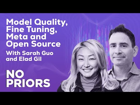 No Priors Ep. 35 | With Sarah Guo and Elad Gil
