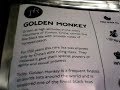 The Finest Tea In The World Golden Monkey