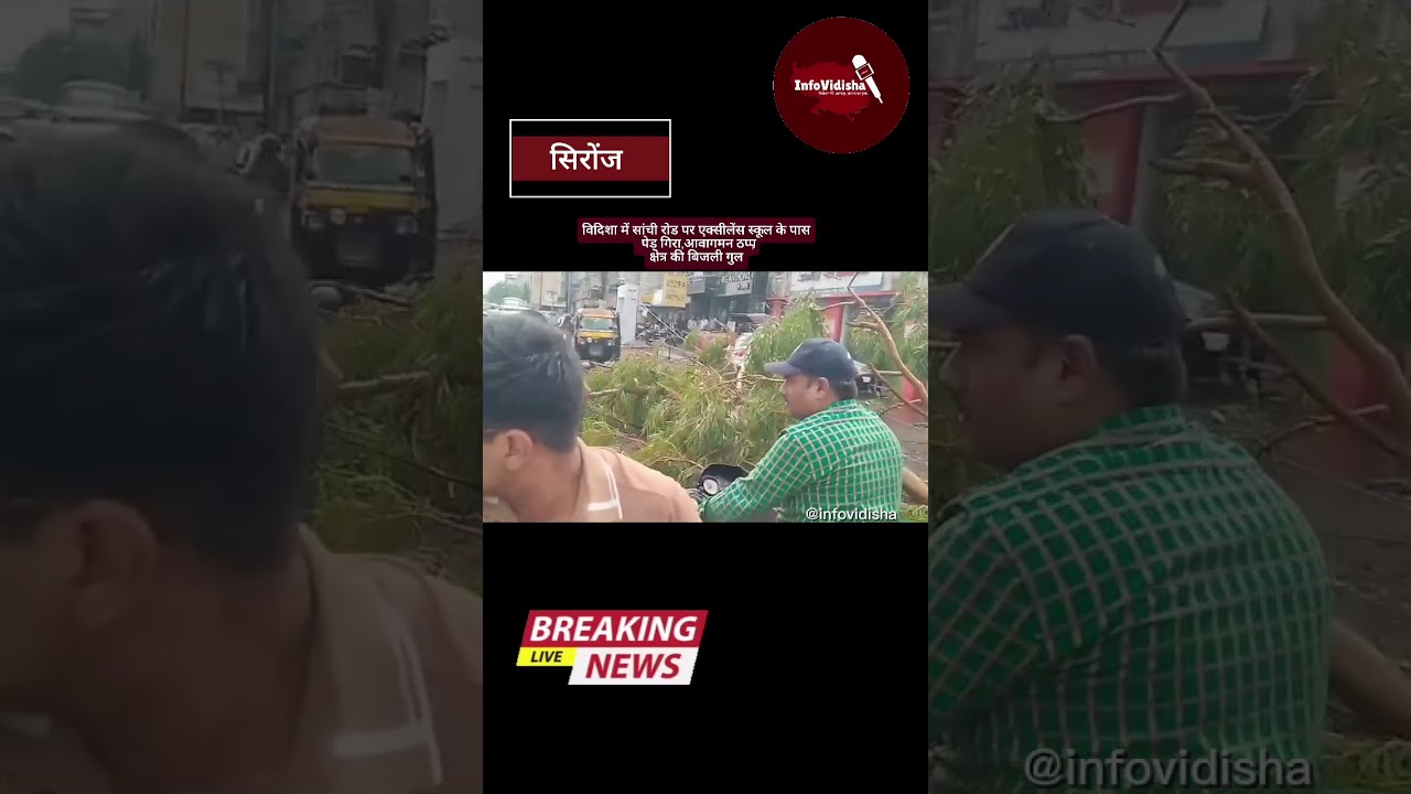 एक्सीलेंस स्कूल के पास एक पेड़ धराशाई होकर  गिर गया,यातायात प्रभावित रहा, बिजली गुल रही .......