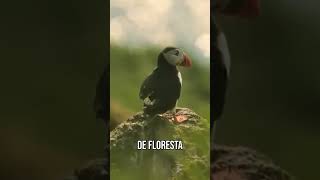 ORGANIZE A SUA MENTE  #palavraquesalva #paz #nocontroledavida #motivacional #amor #reflexão #vida