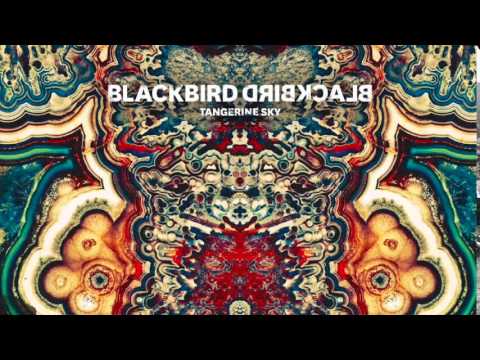 Blackbird Blackbird - Visionary (iTunes Exclusive)