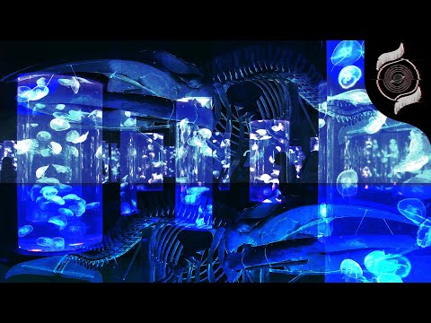 Hex & Little Black Hole Surfer Girl - Hitan  \\ ✝ Witch House ✝ \\