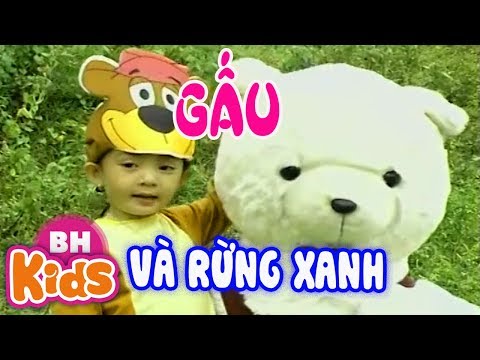 Gấu và rừng xanh - Bé Xuân Mai