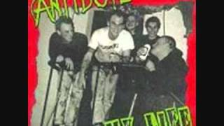 15 in '77 Music Video