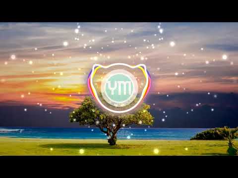 SyizX & MIF - Never Stop